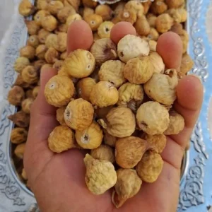 انجیر خشک معمولی