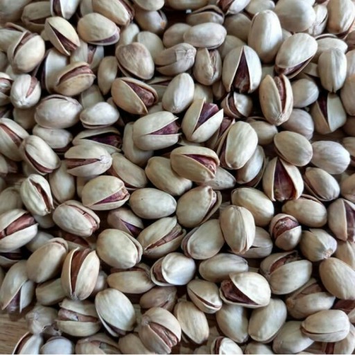 پسته کله قوچی