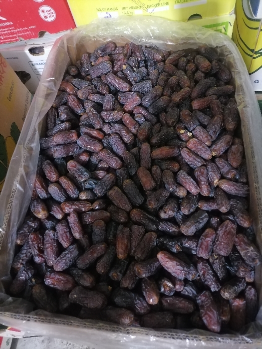 فروش خرما پیارم