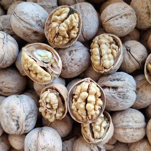 قیمت گردو پوست کاغذی