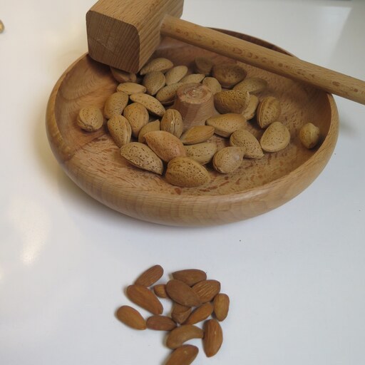 قیمت بادام درختی با پوست