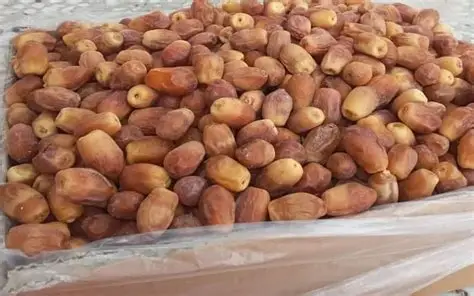 فروش خرما زاهدی