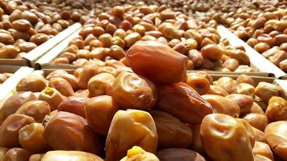 خرما زاهدی فله