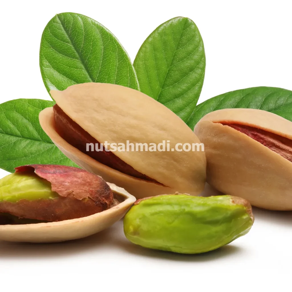 انواع پسته در کرمان