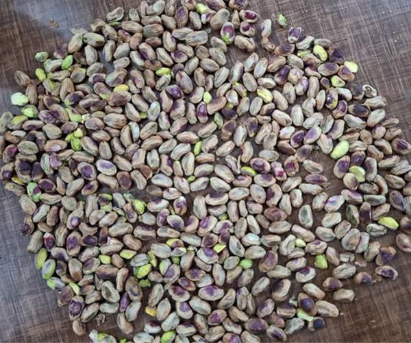 خرید مغز پسته عمده