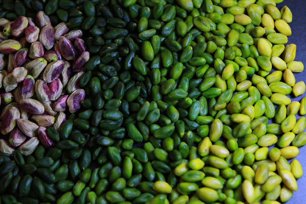 مغز پسته سبز صادراتی