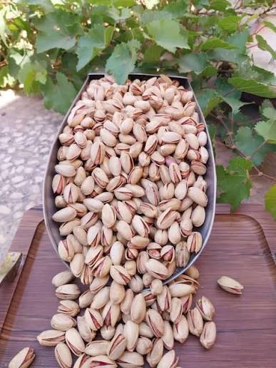 خرید پسته عمده مستقیم