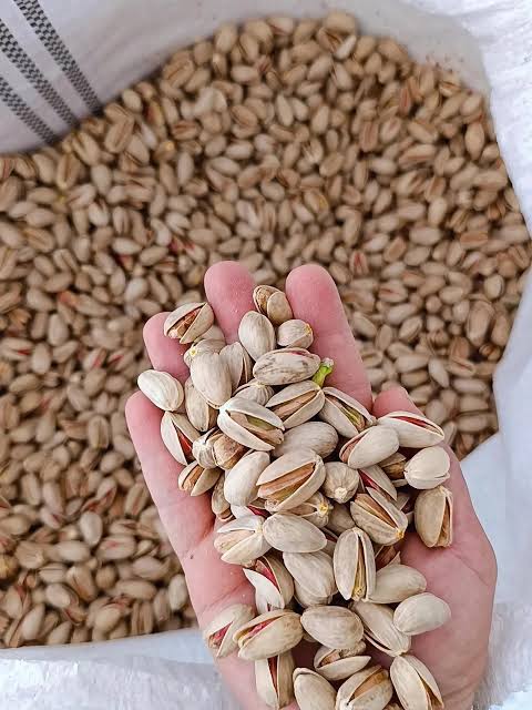 قیمت روز پسته