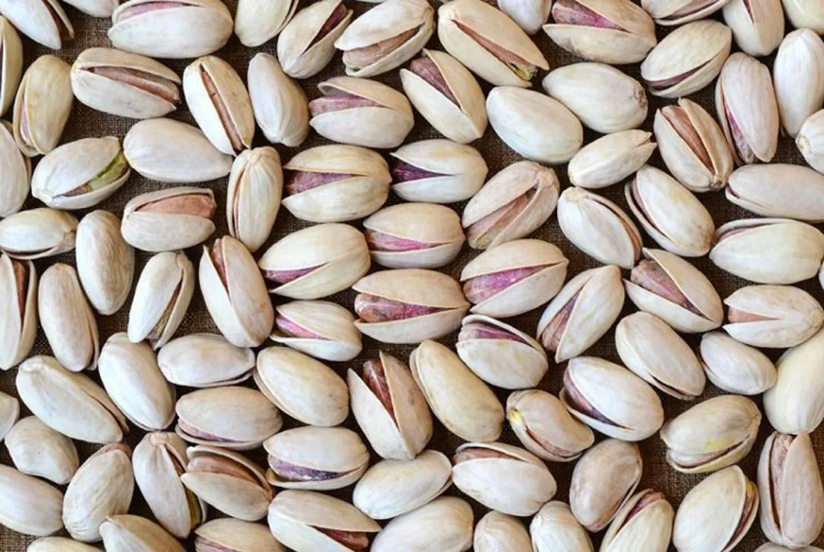 بهترین پسته صادراتی ایران