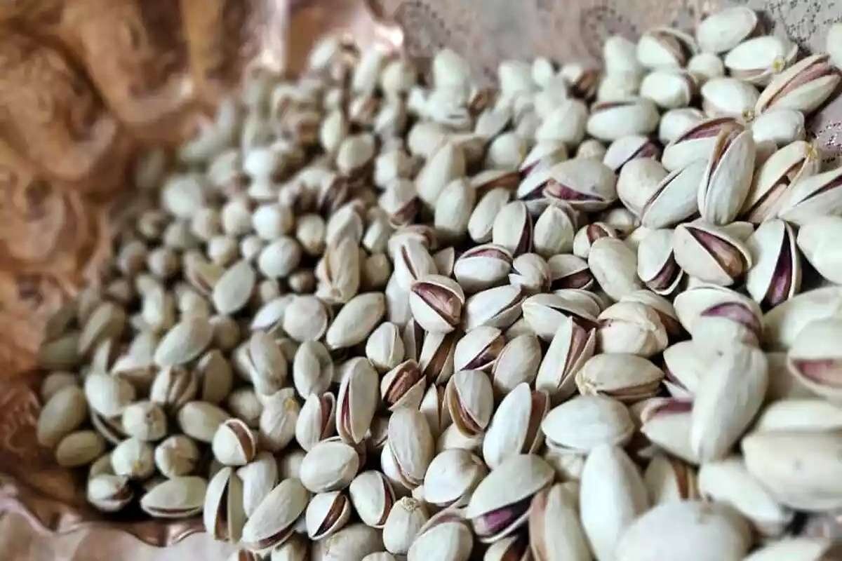 بهترین پسته صادراتی ایران