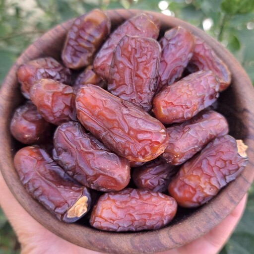 خرما پیارم حاجی آباد