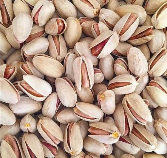 فروش پسته خندان