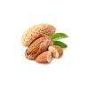 بادام1